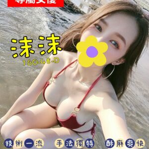E6B2ABE6B2AB-160.48.D1-1