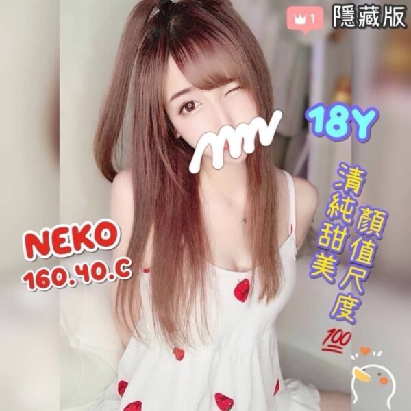 NEKO-160.40.C1